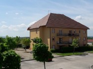 Apartment Lux