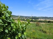 Development site Nuits Saint Georges