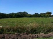 Purchase sale Aubigny En Plaine