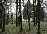 Purchase sale development site Tournus