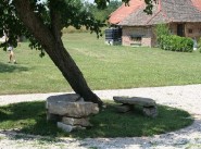 Purchase sale Lessard En Bresse
