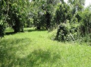 Purchase sale Pouilly Sur Saone