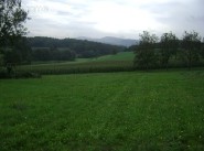 Purchase sale Saint Maurice De Satonnay