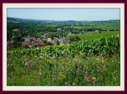 Purchase sale Santenay