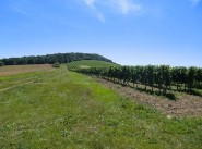 Real estate Nuits Saint Georges